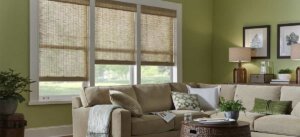 Bamboo Shades in living room birmingham