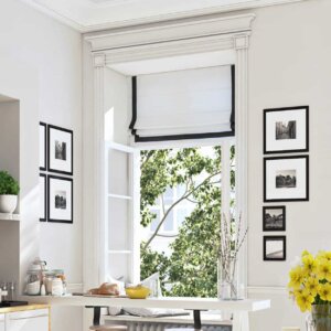 Black and white roman shades birmingham