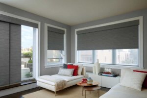 Dark gray roller Shades in living room birmingham